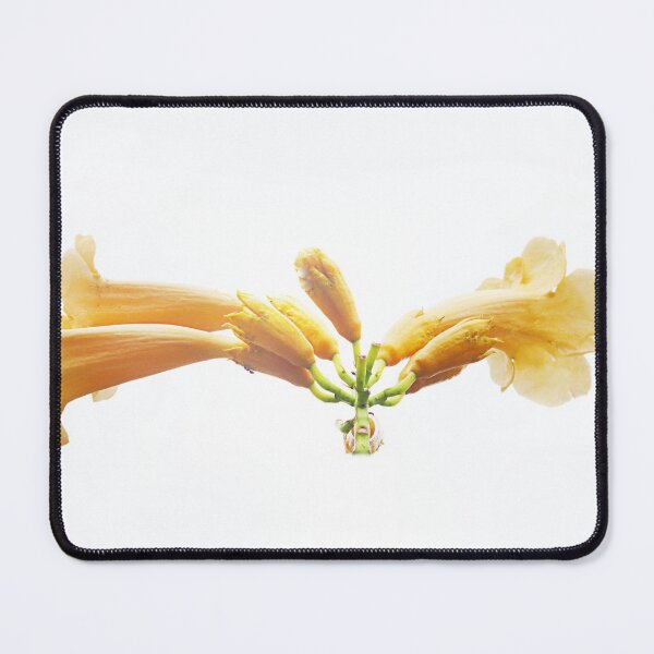 Item preview, High key trumpets. designed and sold by Paul Pasco.