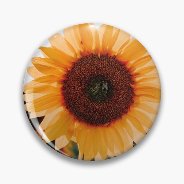 Item preview, Beautiful Sunflower - Photography - Yellow and Green designed and sold by Marie Young.