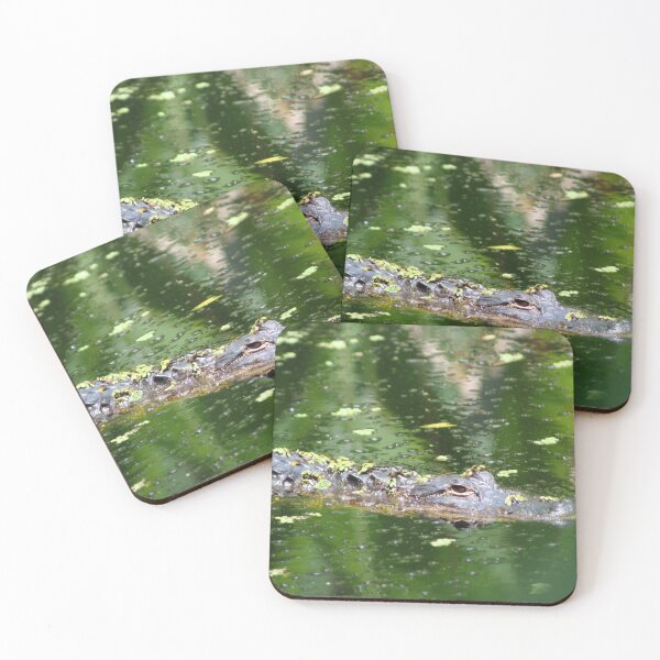 Item preview, Alligator in the swamp designed and sold by Lexipooh76.