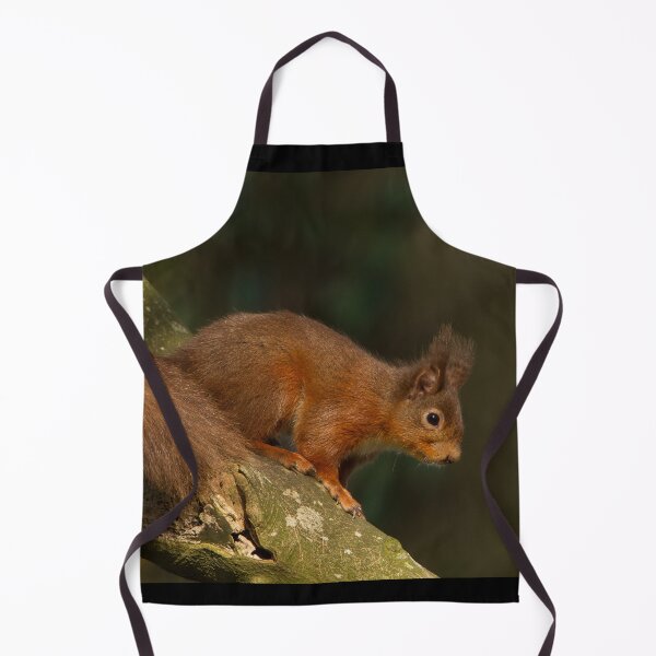 Item preview, red squirrel designed and sold by Jon Lees.