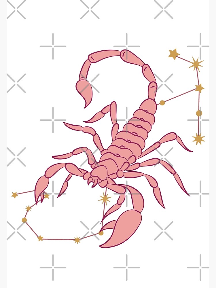 Scorpio October 23 November 21 Zodiac Star Sign Poster