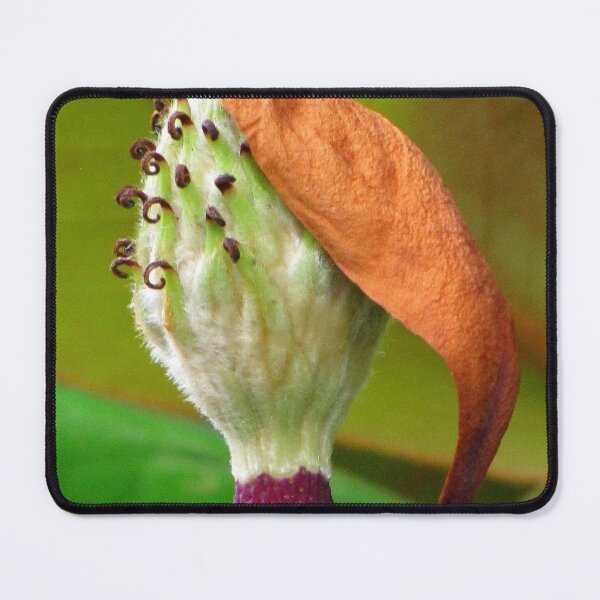 Item preview, Oh, Good Grief! designed and sold by Jean Gregory Evans.