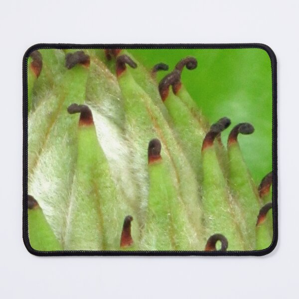 Item preview, Melodic designed and sold by Jean Gregory Evans.
