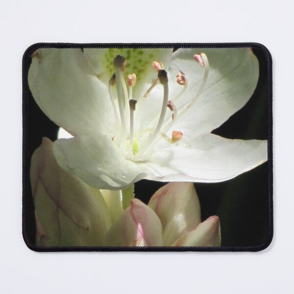 Item preview, Illuminated Rhododendron designed and sold by Jean Gregory Evans.