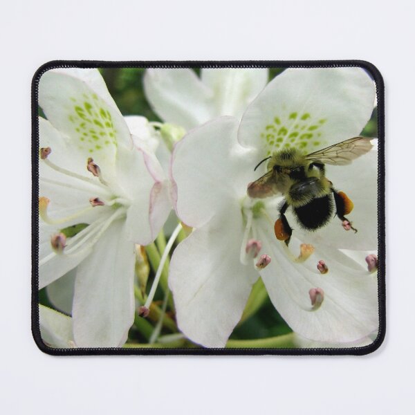 Item preview, Pollen Packing Bumble Bee designed and sold by Jean Gregory Evans.