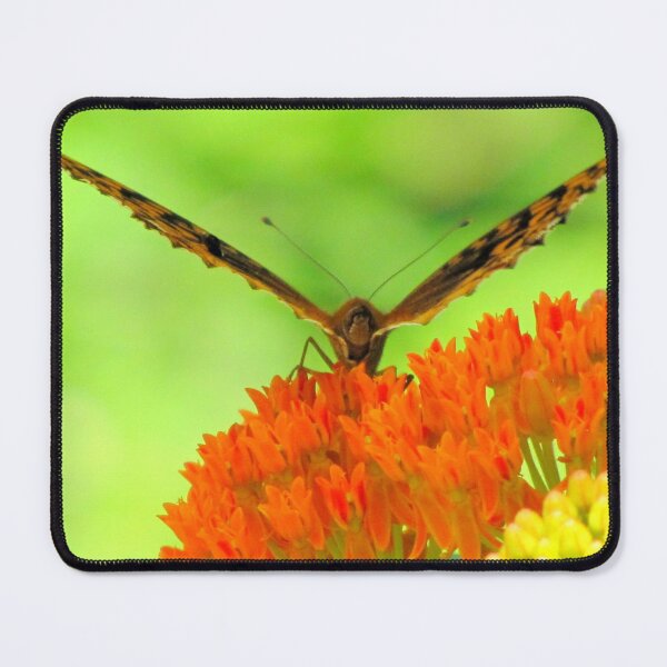Item preview, Don't Know If I'm Coming Or Going designed and sold by Jean Gregory Evans.