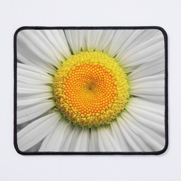 Item preview, A Daisy designed and sold by Jean Gregory Evans.