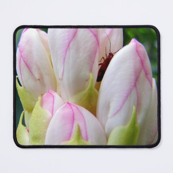 Item preview, Hideaway designed and sold by Jean Gregory Evans.