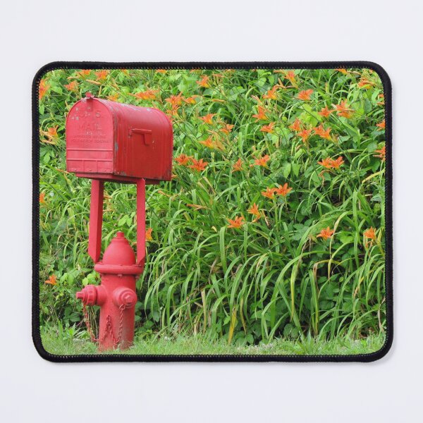 Item preview, Firehouse Mailbox and Fire Hydrant designed and sold by Jean Gregory Evans.