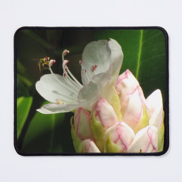 Item preview, Rhododendron Pollination designed and sold by Jean Gregory Evans.