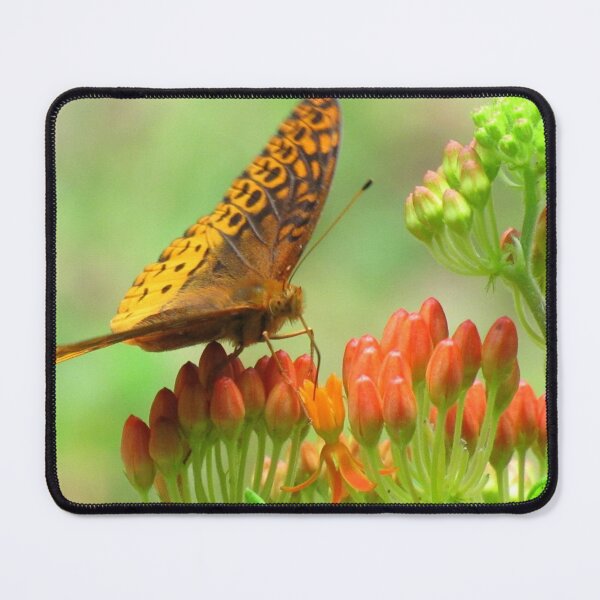 Item preview, The First ONE! designed and sold by Jean Gregory Evans.