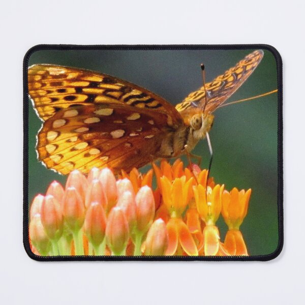 Item preview, A Feast For The Eyes designed and sold by Jean Gregory Evans.