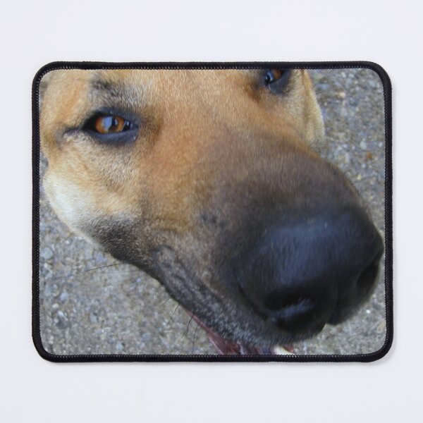 Item preview, Do I NOSE You?? designed and sold by Jean Gregory Evans.