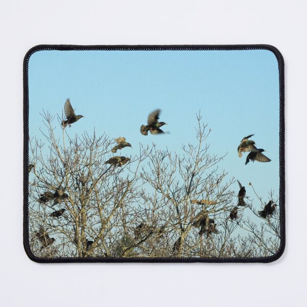 Item preview, Last Dance At Roosting Time designed and sold by Jean Gregory Evans.