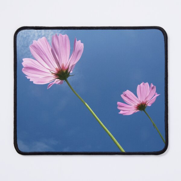 Item preview, to help keep the Sun shining in our hearts designed and sold by Jean Gregory Evans.