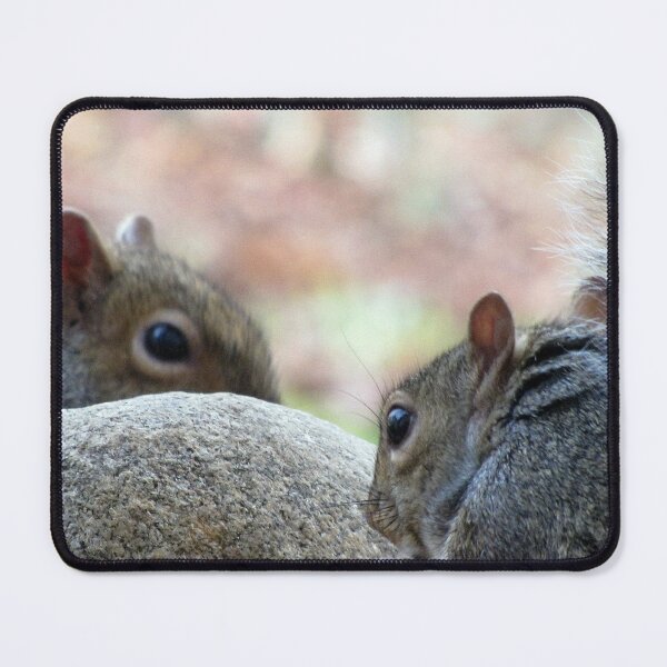 Item preview, Squirrel Hard Rock Café designed and sold by Jean Gregory Evans.