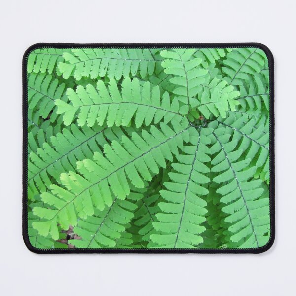 Item preview, Maidenhair Fern designed and sold by Jean Gregory Evans.