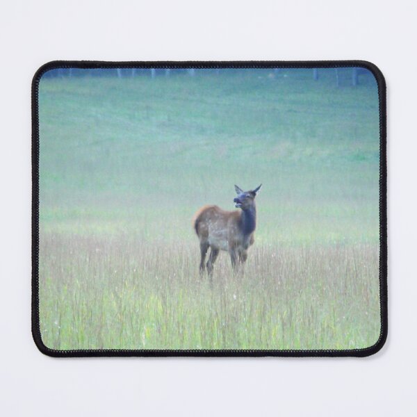 Item preview, Hollering "Mom, MOM!" designed and sold by Jean Gregory Evans.