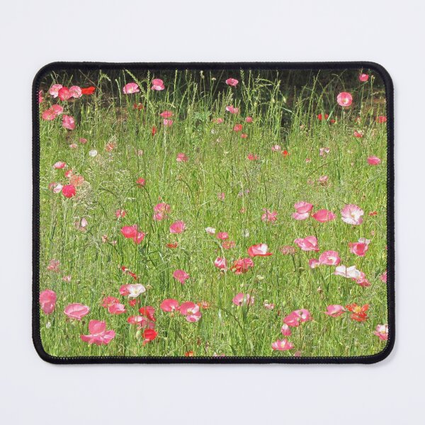 Item preview, Poppies in Sunlight designed and sold by Jean Gregory Evans.