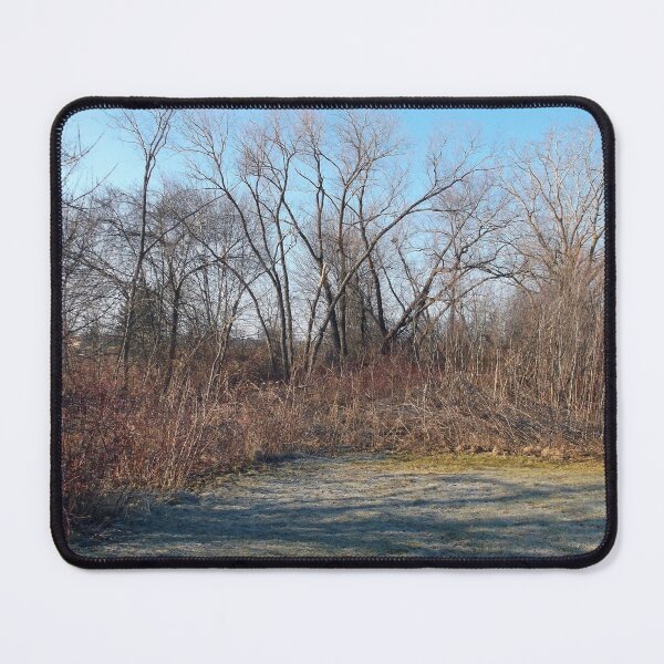 Item preview, The Path Taken designed and sold by Scott and Mary Schneider art_photography.