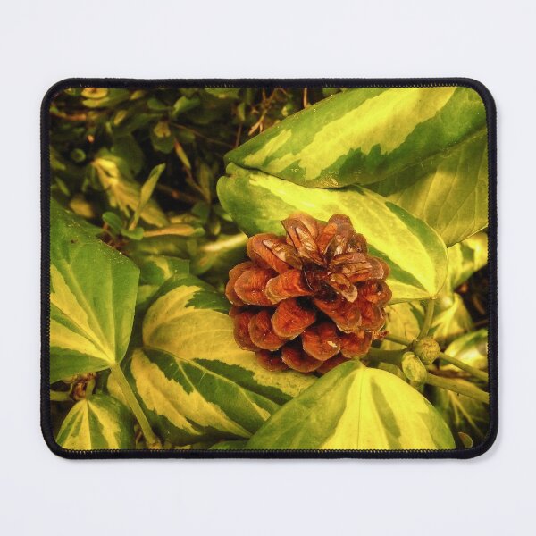 Item preview, Looking - A View  designed and sold by Carl Gaynor.