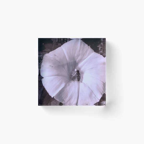 Item preview, Looking - A View  designed and sold by Carl Gaynor.
