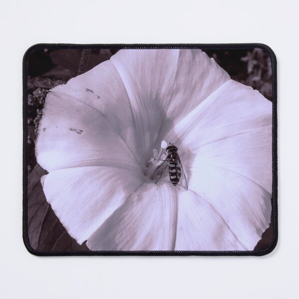 Item preview, Looking - A View  designed and sold by Carl Gaynor.