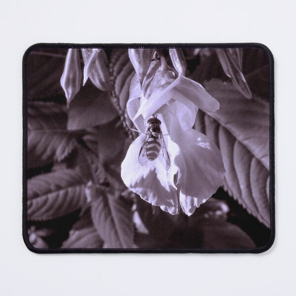 Item preview, Looking - A View  designed and sold by Carl Gaynor.
