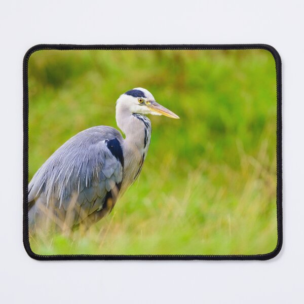 Item preview, Grey Heron designed and sold by Ryan  Ten.