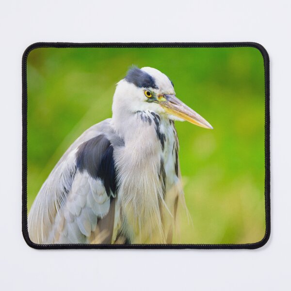 Item preview, Grey Heron designed and sold by Ryan  Ten.