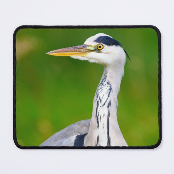 Item preview, Grey Heron designed and sold by Ryan  Ten.
