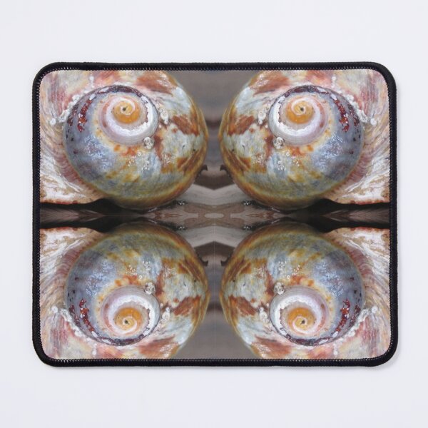 Item preview, Seashell patterns designed and sold by BiodiversityRocks.