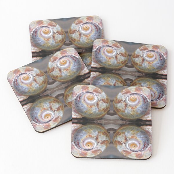 Item preview, Seashell patterns designed and sold by BiodiversityRocks.