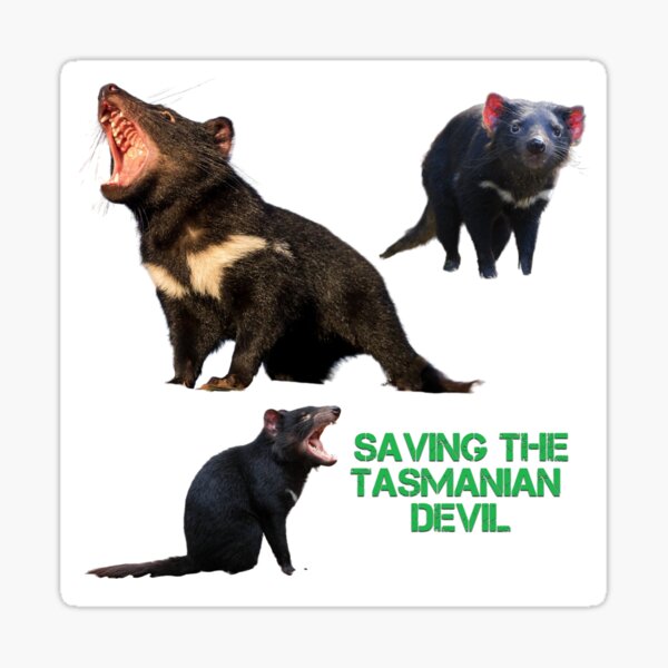 "Saving Tasmanian Devil " Sticker for Sale by AlessandruLemos | Redbubble