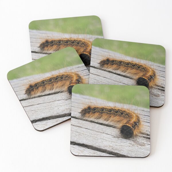 Item preview, Caterpillar  designed and sold by SarahVGarrett.
