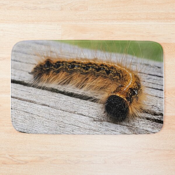Item preview, Caterpillar  designed and sold by SarahVGarrett.