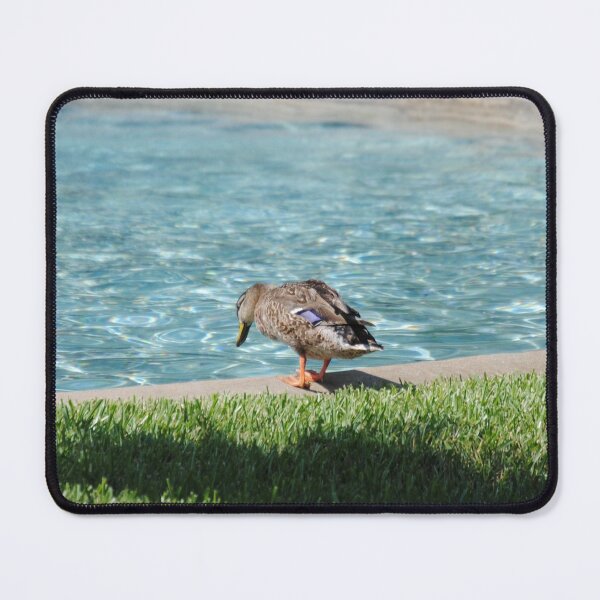 Item preview, Duck looking at water pond designed and sold by FindYouByZ.