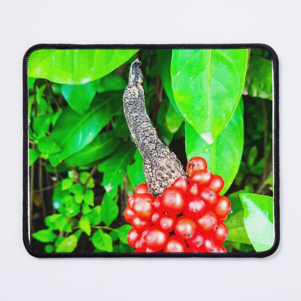 Item preview, Red peppercorn with bird beak designed and sold by kall3bu.