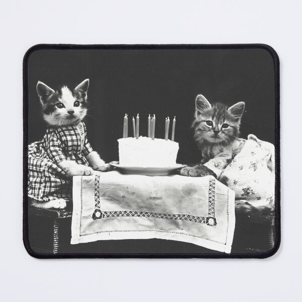 Item preview, Birthday Kittens - Vintage Photography designed and sold by seasonings.