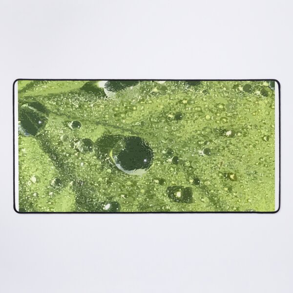 Item preview, Dewdrops on a green leaf designed and sold by Greengardens36.