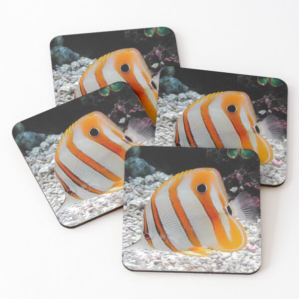 Item preview, Copperband Butterfly Fish designed and sold by Kuetspal-Lin.