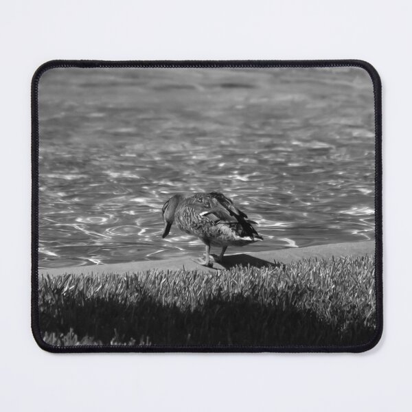 Item preview, Duck looking at water pond black and white designed and sold by FindYouByZ.