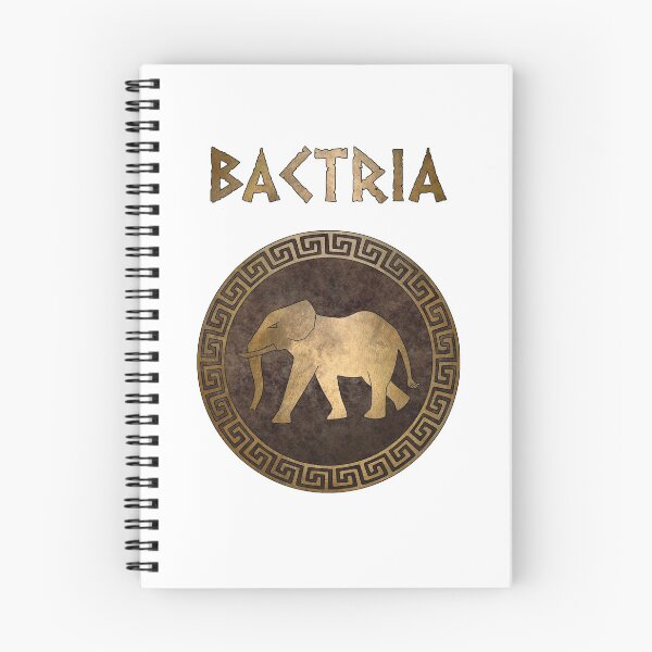 Item preview, Bactria Ancient Indo-Greek Kingdom Symbol designed and sold by Agema Apparel.