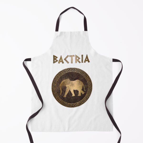 Item preview, Bactria Ancient Indo-Greek Kingdom Symbol designed and sold by Agema Apparel.