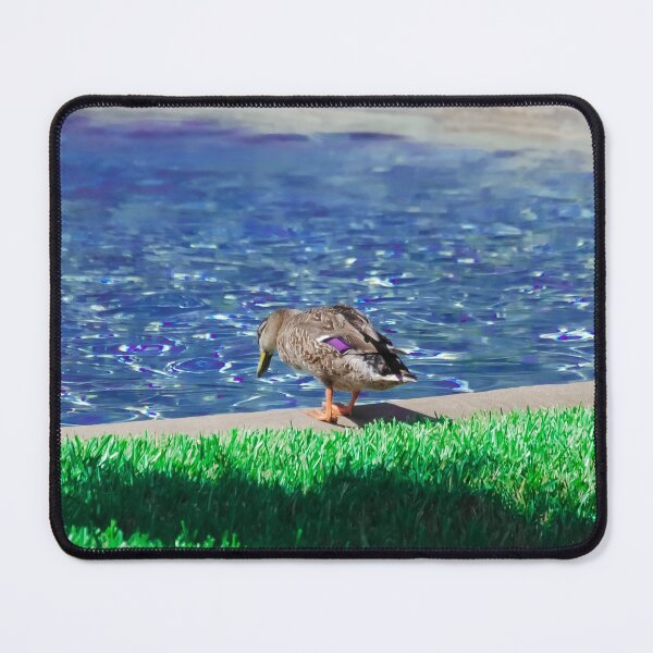 Item preview, Duck looking at water pond blue and green filter designed and sold by FindYouByZ.
