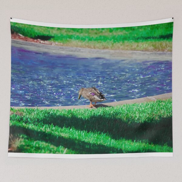 Item preview, Duck looking at water pond blue and green filter designed and sold by FindYouByZ.