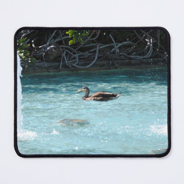 Item preview, Duck swimming at water pond blue with fountains designed and sold by FindYouByZ.