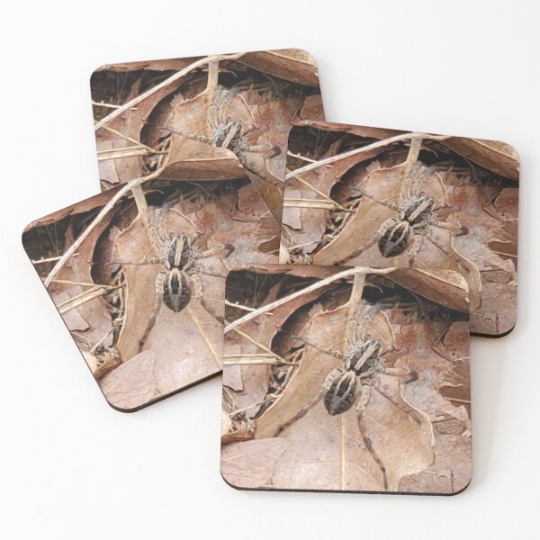Item preview, Wolf Spider in the Leaves designed and sold by SarahVGarrett.