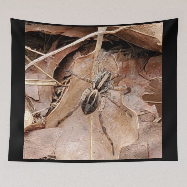 Item preview, Wolf Spider in the Leaves designed and sold by SarahVGarrett.