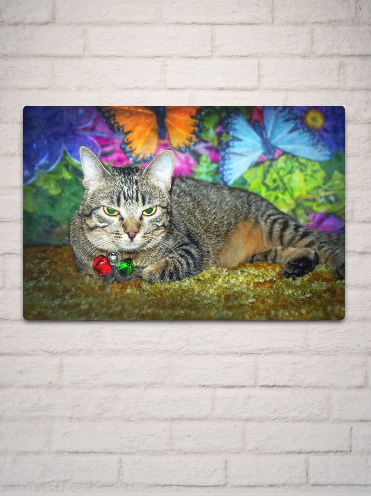 Thumbnail 2 of 4, Metal Print, Bobbette designed and sold by Jerry Walter.